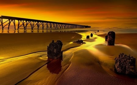 Golden Sunset - Horizon, Evening, Water, Pier, Palm