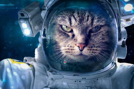 :D - cat, astronaut, pisica, creative, fantasy