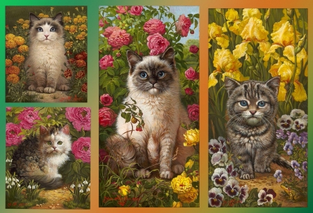 Cats and flowers - yellow, summer, collage, flower, pink, cat, pisica, kitten, painting, garden, art, vara