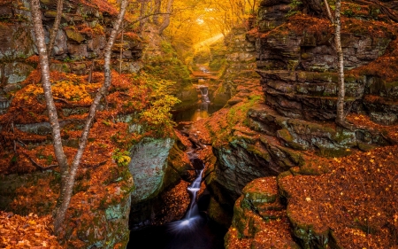 Autumn Forest - autumn, trees, sunlight, stream, waterfall, rocks, nature, forest, stones