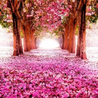 Countryside with Trees and Flower Carpet