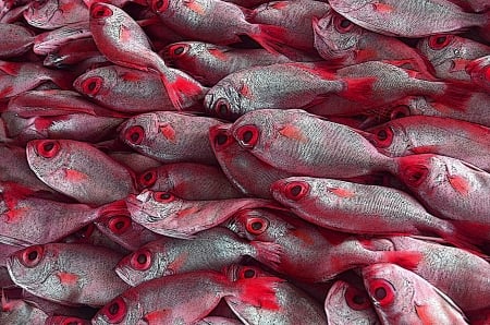 Fish - red, fish, texture, art, pink