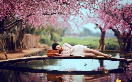 Sweet dream - girl, sweet, tree, dream