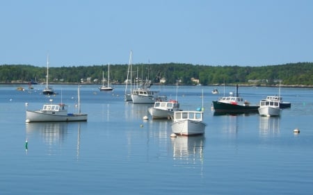 Marina in Maine, USA - boats, marina, Maine, America