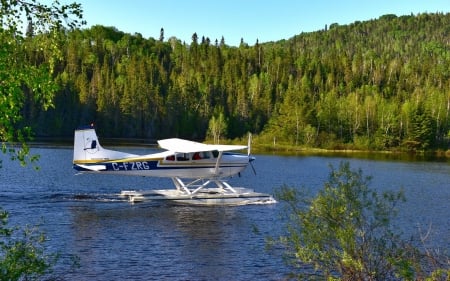 Seaplane - lake, seaplane, forest, water