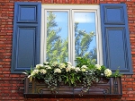 Window with Flowers