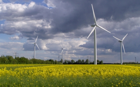 Wind Turbines in Germany - rapeseed, Germany, landscape, field, wind turbines