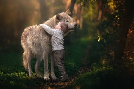 Hug - wolf, dog, love, copil, child, boy, animal, caine, hug