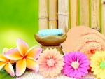 Spa aromatherapy and bamboo