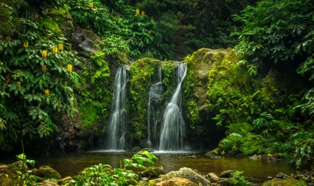 Small forest waterfall - forest, beautiful, greenery, summer, waterfall, exotic