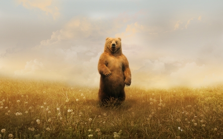 Bear - vara, luminos, bear, dandelion, animal, summer, field, fantasy