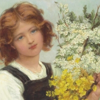 Spring flowers