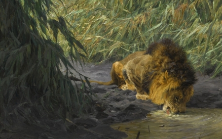 Thirst - painting, art, lion, friedrich wilhelm kuhnert, leu, thirst, water, pictura