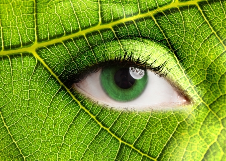 Eye - green, leaf, eye, creative, fantasy