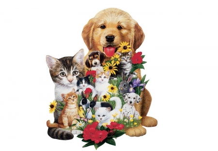 ♥ - dog, flower, creative, cat, pet, fantasy, pisica, animal, kitten, caine, puppy