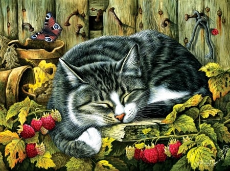 Siesta - pisica, sleep, siesta, raspberry, painting, fruit, art, cat