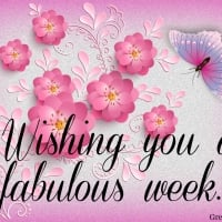 FABULOUS WEEK