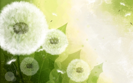 Dandelions - white, summer, green, vector, dandelion, card, texture, vara