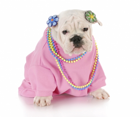 :) - bulldog, funny, pink, caine, necklace, dog