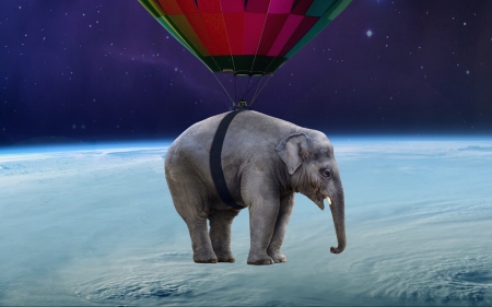 :) - elephant, situation, creative, fantasy, balloon