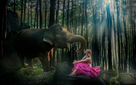 â™¥ - woman, elephant, forest, girl, pink, jungle, model, dress