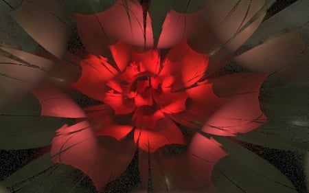 Fractal Rose - fractal, abstract, rose, dark red