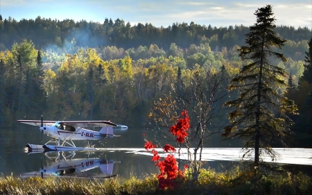 Seaplane in Quebec, Canada - canada, seaplane, lake, forest