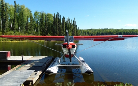 Seaplane in Lake - aircraft, lake, seaplane, water