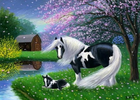 Windy Spring Gypsy Foal - Foal, Black, Tree, Clouds, River, White, House, Grass, Spring, Gypsy, Windy, Male, sky