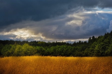 The storm is coming - nature, fields, cloud, storm