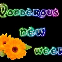 WONDEROUS WEEK