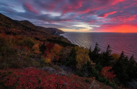 Orange clouds - cloud, sea, sunset, nature