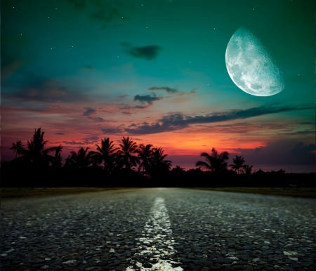 Fantasy Moon - sunset, road, palmtrees, colors, sky