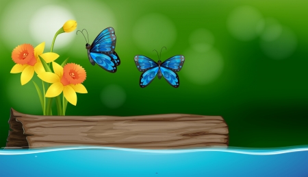 Butterflies - daffodils, nature, vector, butterflies