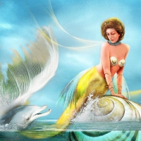 Mermaid and Dolphins