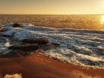 Seashore with Reflection of Sunlight