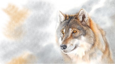 Colored Pencil Wolf - wolf, wolves, art, lobo, wild, loup, pencil, firefox theme