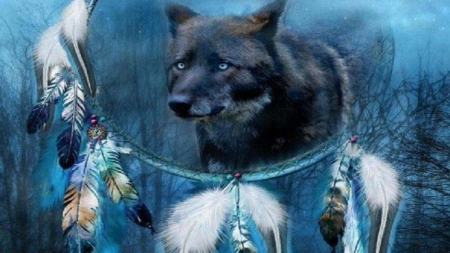 wolf dream catcher - catcher, feathers, wolf, dream