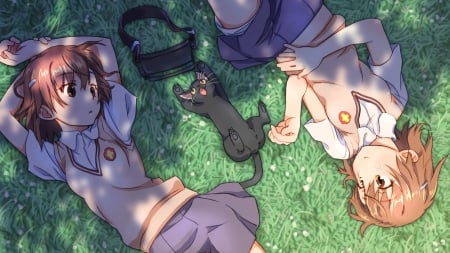 Sisters - to aru kagaku no railgun, sister, to aru majutsu no inde, misaka, cat, mikoto