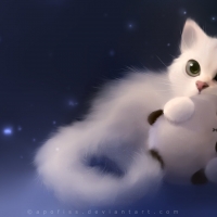 Cute kitty
