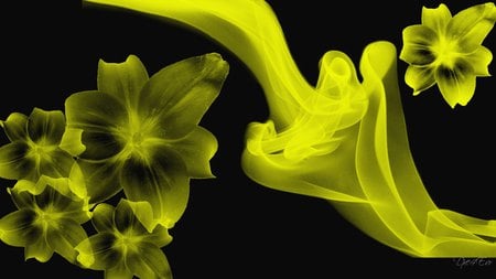 Yellow Smoked Floral Abstract - abstract, yellow, smoke, flowers, widescreen