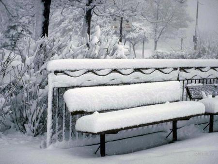 winter scene - winter, bench, cold, snow