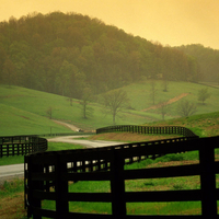 Peaceful countryside