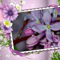 LOVELY FRAMED LILACS