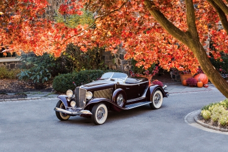 1933 Auburn 8-101 Speedster - trees, rare, Speedster, flowers, drive way, car, vintage, 1933, Auburn