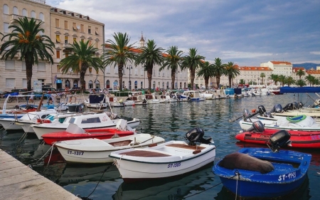 Split Harbor, Croatia - street, boats, palms, Croatia, harbor, Split