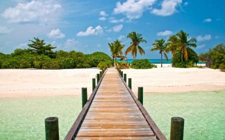 Tropic Island - palms, beach, island, tropic, pier