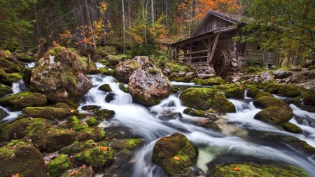 Little house in the forest - house, forest, waterfall, little