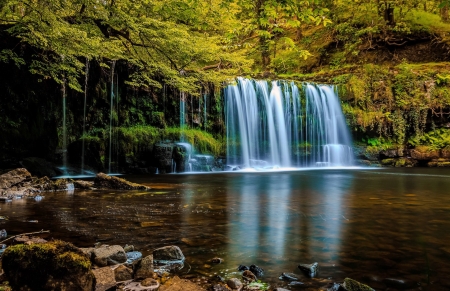 Forest waterfall - foirest, trees, reflection, beautiful, waterfall