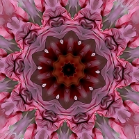PINK AND GREY